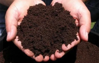 Manure fertilizer after composting
