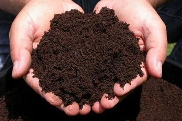 Manure fertilizer after composting