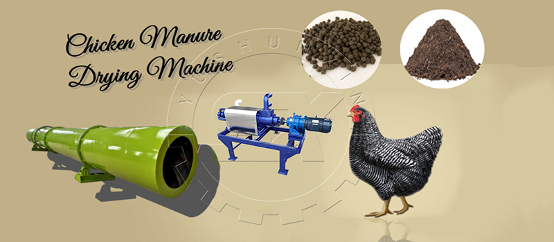 Poultry Manure dryer machines for sale