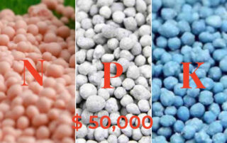 $50,000 cost NPK fertilizer production plans