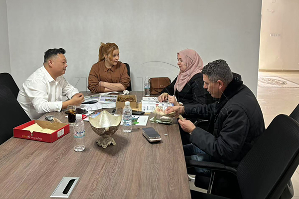 Discuss fertilizer making plant setup in Algeria