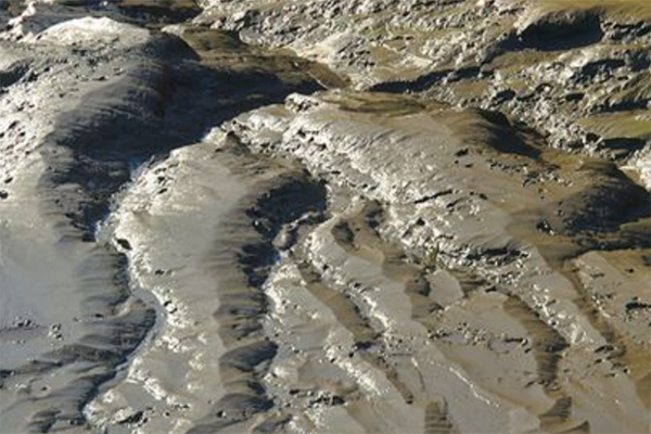 Sludge waste management
