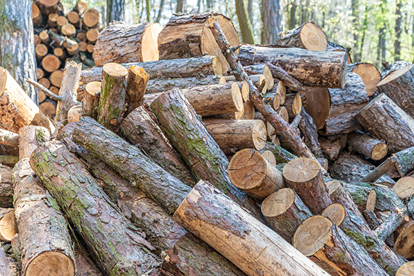 Wood crushing