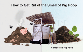 How to Get Rid of the Smell of Pig Poop