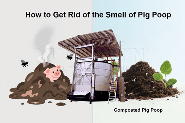 How to Get Rid of the Smell of Pig Poop